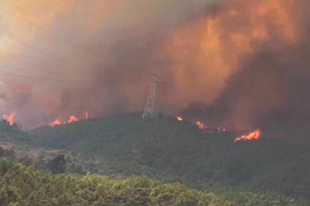 山东青岛一景区附近发生山火