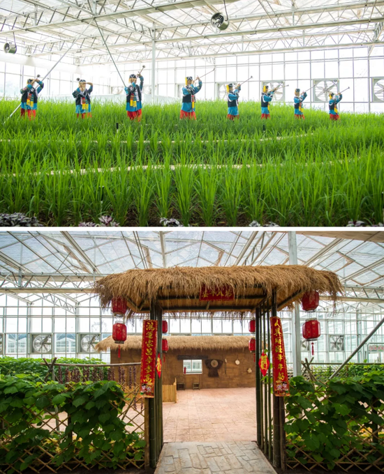 当周末撞上中国旅游日 益阳现代农业嘉年华邀你“好看”