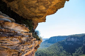  新南威尔士州蓝山（Blue Mountains）