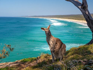 昆士蘭州北斯德布魯克島(North Stradbroke Island)