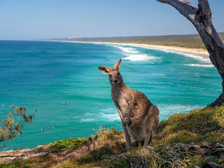  昆士兰州北斯德布鲁克岛（North Stradbroke Island）