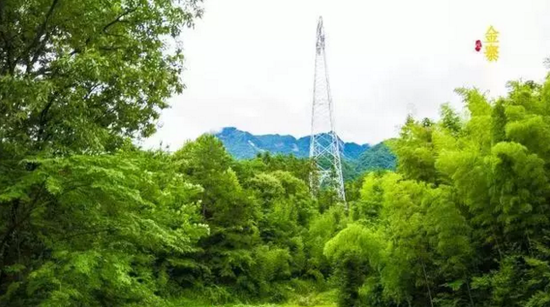 大湾村纪行