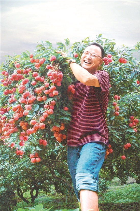 种得好又卖得好,荔农笑逐颜开 (珠江经济台)