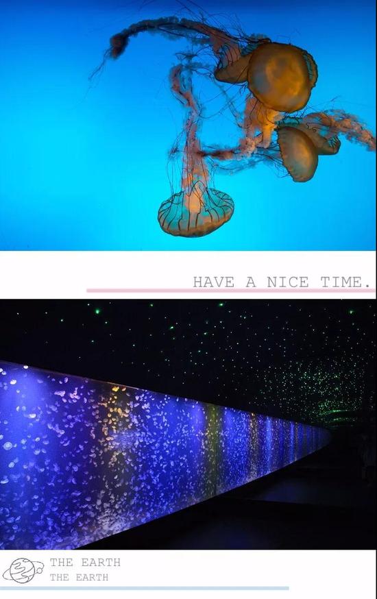 灵动飘逸的水母宫