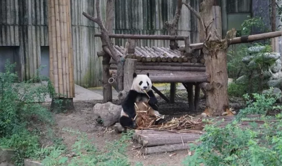 5.19中国旅游日 安徽景区送福利