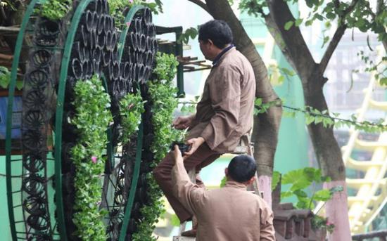 （雨后园林工作人员将易坠落的景观小花盆放回原处）