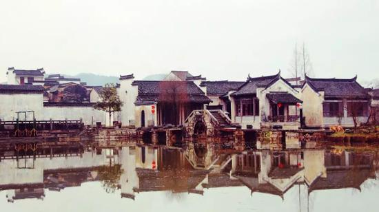 by 图虫 毛钱子