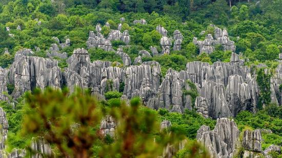 众所周知,云南拥有丰富的旅游资源,不仅以石林,原始森林公园,九乡风景