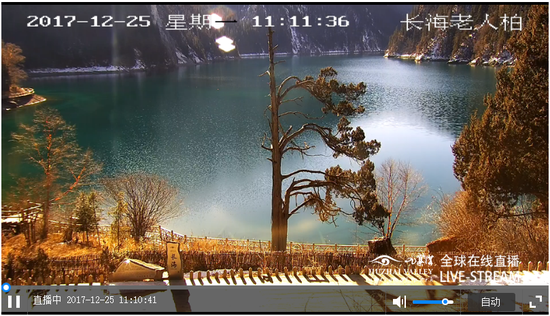 “全球景观直播”中长海老人柏实时直播测试画面