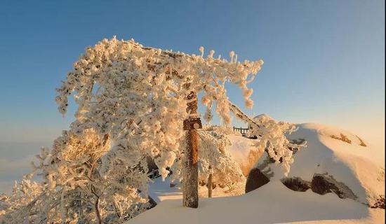 天柱雪景 王立新摄