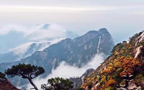 摄影:吴志刚