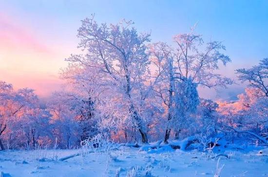 冬季到吉林来玩雪--加拿大总理都喜欢滑雪,你还