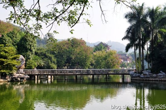 四季如春的青秀山 图:新浪博主/尤加利的春天