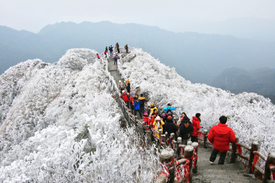 大明山上“白雪皑皑” 图:大明山风景区