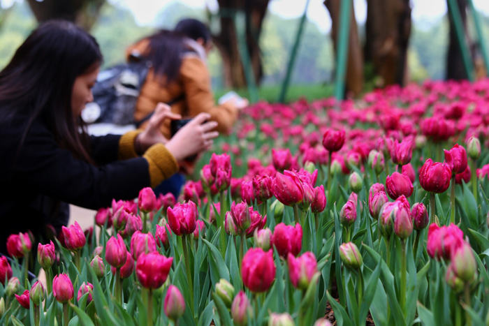 春节假期旅游推荐:大南宁一样可以玩翻天