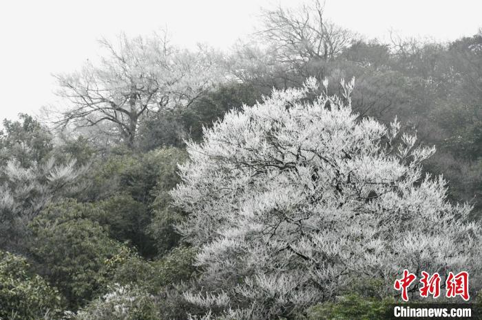 成人 在线 免费 电影