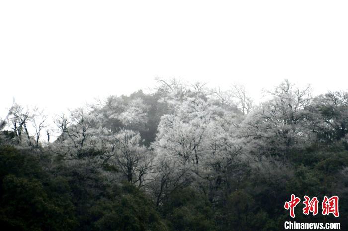 动漫黄A无码在线观看免费