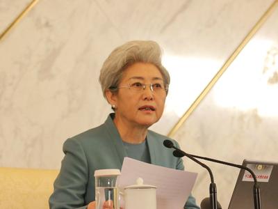 傅莹谈王珉两会期间被查：反腐败没有死角