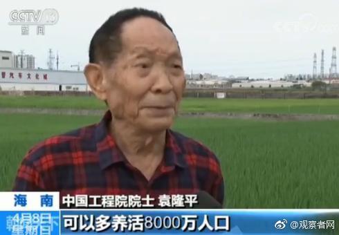 国内首次大范围试种海水稻 袁隆平：达1亿亩可养8