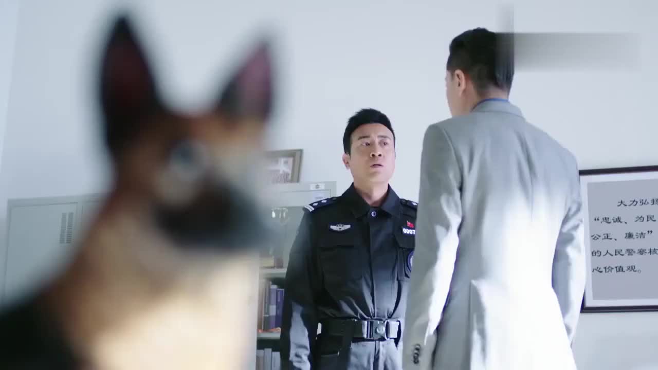 警花与警犬:博士强烈要求淘汰姝寒,不料杜飞却十分护短,有好戏