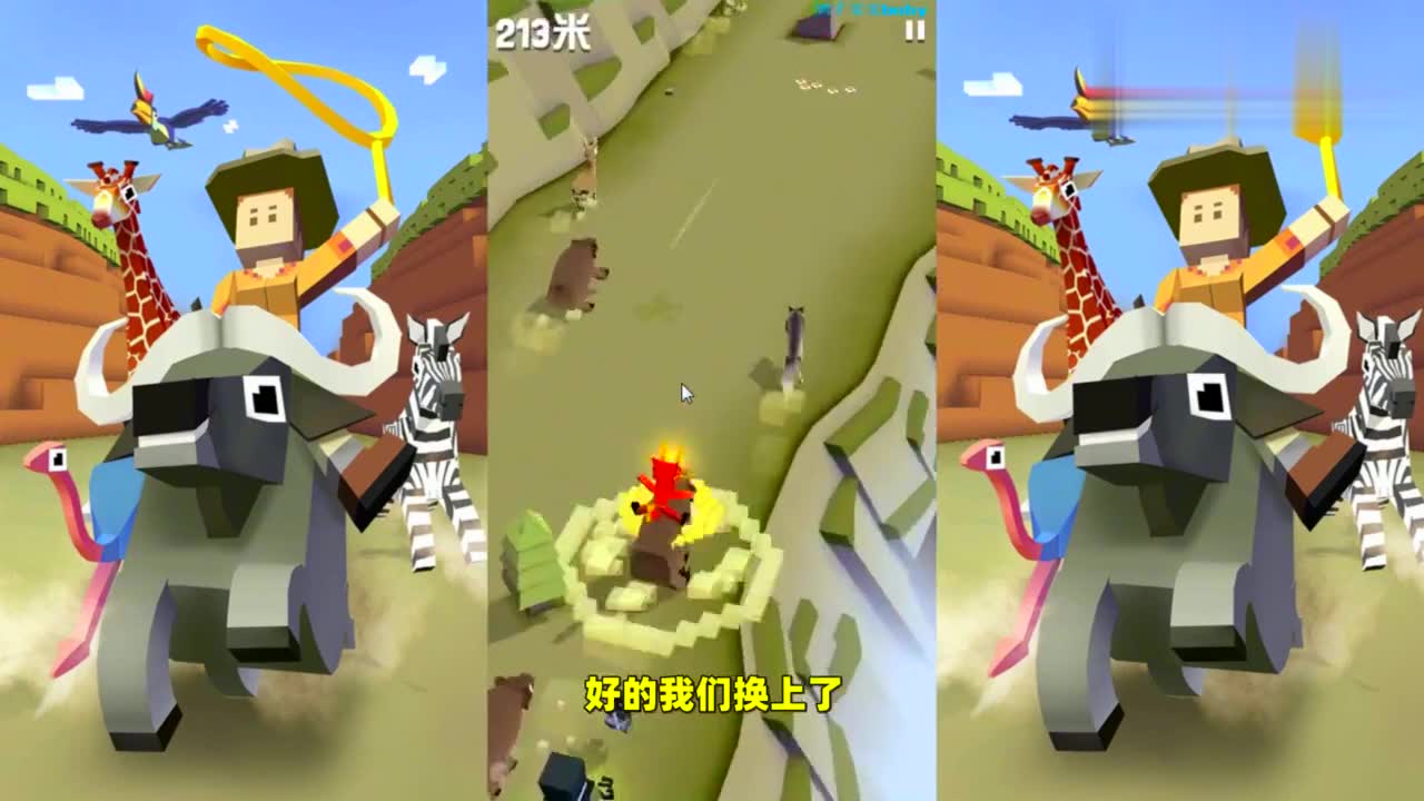 疯狂动物园:探索澳洲大陆,小丑羊驼伴侣来啦!