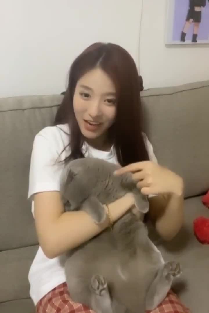 不愧是三哥! snh48孙芮吐槽自己的猫,把duangduang说害羞了!