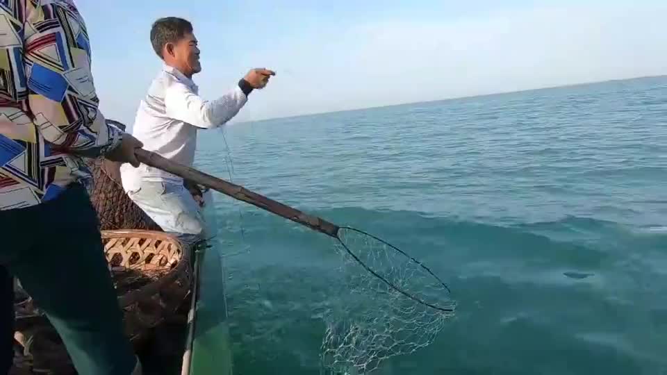 渔戈兄弟风雨无阻去赶海,虽然很辛苦,但是他们的收获