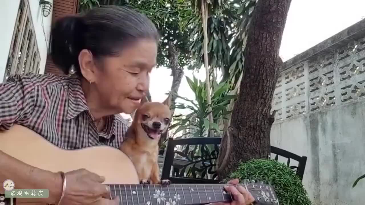 老奶奶99岁去世,请女星来唱哭丧,歌曲刚唱完老奶奶竟