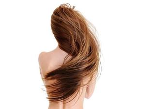 日常五宗罪 让你<em>头发掉不停</em>