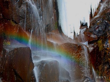 中山天气预报_中山天气预报10天查询_新浪天气