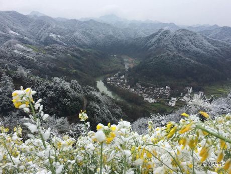 南川天气预报_南川天气预报10天查询_新浪天气