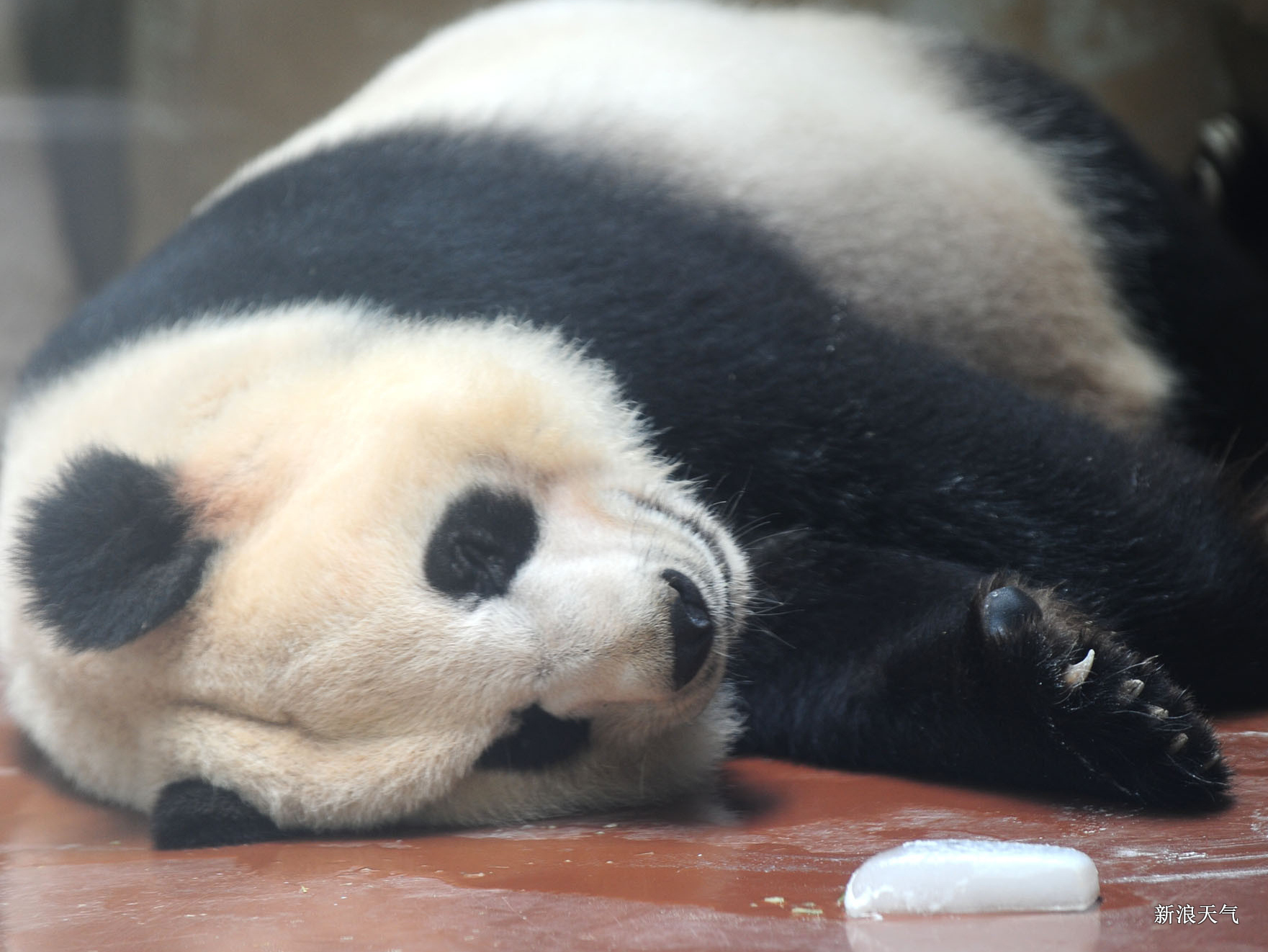 杞县天气预报_杞县天气预报10天查询_新浪天气