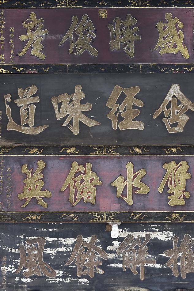 美女露100%的身体无庶挡
