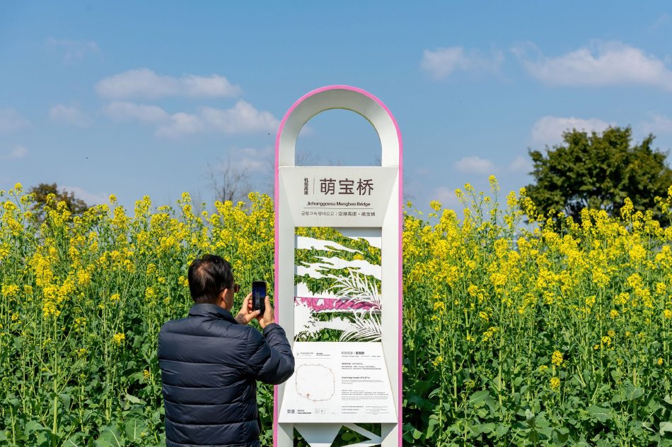 毛多色情片