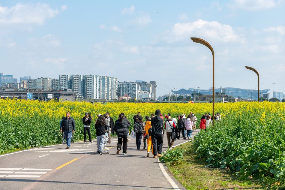 成 人 黄 色 视频 网站中国大陆免费