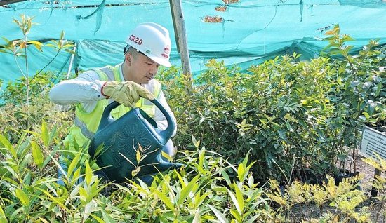 秘魯安第斯國家公路項目林業管理負責人王漢濤正在為灌木澆水