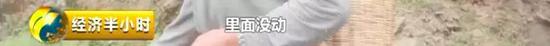 △云南省宣威市海岱镇旧屋村村民袁玉存