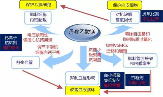 图7。 丹参多酚酸盐通过多种机制和途径保护心血管系统的作用特征