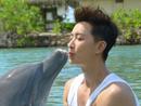 韩庚下水和海豚玩亲亲