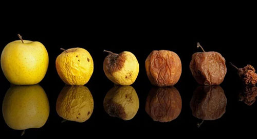 水果烂了一点儿还能吃吗?