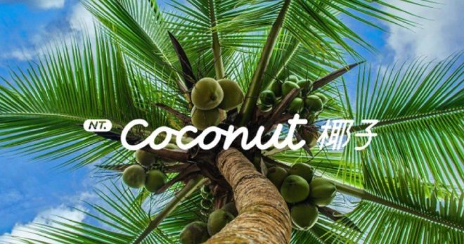 NT.Coconut 椰子 乐道汽车智能系统正式发布