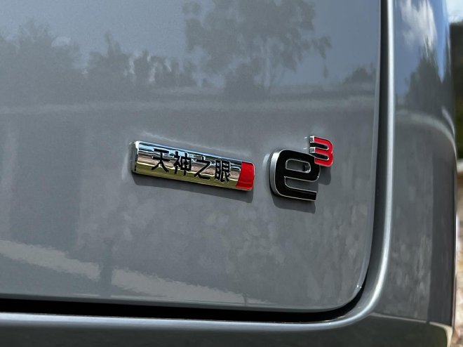 舒适与性能相得益彰 动态试驾腾势N8L