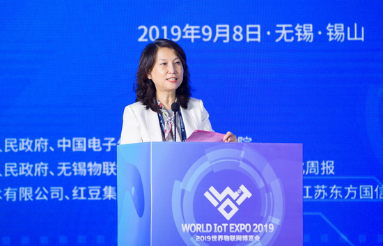 工业和信息化部信息化和软件服务业司巡视员李颖