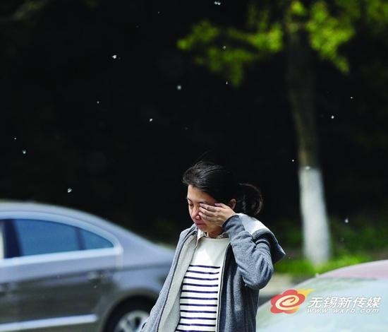 锡城春季美景招过敏 飞絮过多坏了情绪