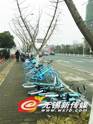 单车占用盲道 单车乱象不仅是市民素质问题_新