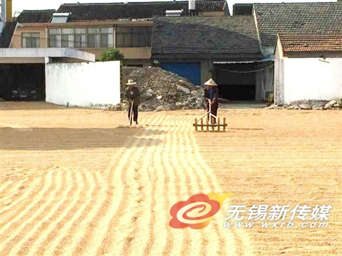 从田间到餐桌全程监管 地产“问题粮”去何处作何用都能溯源