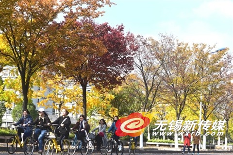 12日,学生们在秋景如画的江南大学校园内骑车出行。(还月亮 摄)