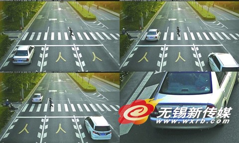 机动车不礼让行人(高浪路兴梁道由东向西)