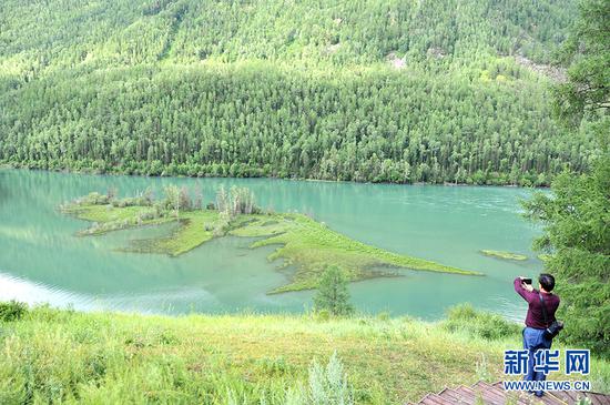 游客在喀纳斯景区“卧龙湾”游玩,卧龙湾因湖中小岛形似恐龙而得名。周远钢摄