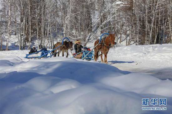 2月9日,游客乘坐马拉爬犁,感受禾木雪乡最传统的雪地出行方式。新华社发(雷东翔 摄)